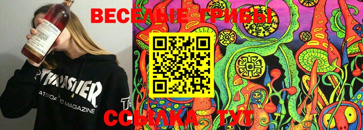 Галлюциногенные грибы MAGIC MUSHROOMS  Вход с VPN  Галлюциногенные грибы Magic Shrooms  закладки  Нальчик 