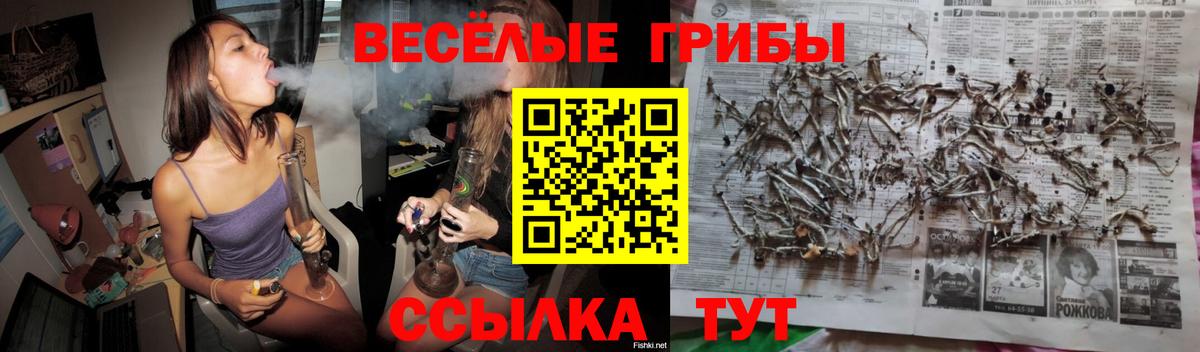 Галлюциногенные грибы прущие грибы Нальчик