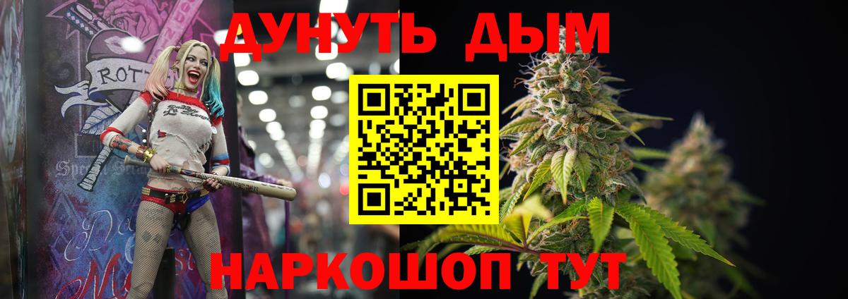 Бошки Шишки семена  Каннабис сатива  Вход с VPN  Нальчик 
